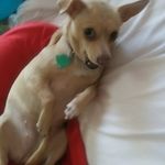 Bonnie Page - @bonniepage77 - Instagram
