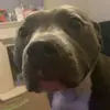 BonniePatrick - @jillpatrick1979 - TikTok