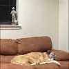 patrick bonnie - @patrick.bonnie0 - TikTok