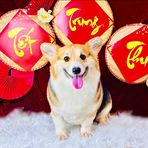 Bonnie Phạm - Facebook