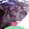 Bonnie Powers Luna - @bonnie.powers.lun - TikTok