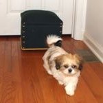 Bonnie Raper - @bonnieraper - Instagram