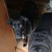 Bonnie Rawson - Facebook