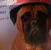 Bonnie Rawson - Facebook