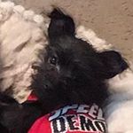 Bonnie Duncan Reece - @bonnie_duncan_reece_ - Instagram