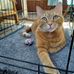Bonnie Ritchie - Facebook