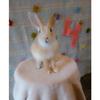 Bonnie La Conejita🐇❤️ - @bonnierojas4 - TikTok