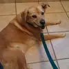 Bonnie Samson - @30238254945 - TikTok