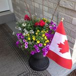 Bonnie Sayers Miskin - @boonie53 - Instagram