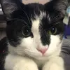 bonniesayers89 - @bonniesayers89 - TikTok
