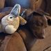 Bonnie J Souza - Facebook