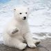 Bonnie Sowder - Facebook