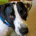 Bonnie Spaulding - Facebook