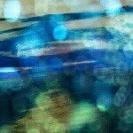 bonnie spaulding - @queenofthetiles - Instagram