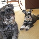 Bonnie Specht - @bonniespecht - Instagram