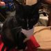Bonnie Specht - Facebook