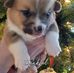 Bonnie Speller - Facebook