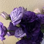 Bonnie Spielman - @bonnie.spielman.58 - Instagram