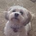 Bonnie Spielman - Facebook