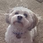 Bonnie Spielman - @spielmanbonnie - Instagram