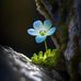 Bonnie Spinks - Facebook