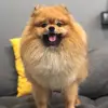 Bonnie spitz - @bonnie_spitz - TikTok