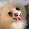 bonnie.spitz - @bonnie.spitz - TikTok