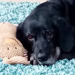 Bonnie Foreman - @bonnie_springer14 - Instagram