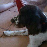Bonnie - @bonniespringer - Instagram