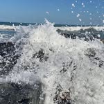 Bonnie Springer Grance - @bonnie_grance - Instagram