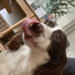 @bonnie_springer_love - Instagram