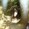 Bonnie Squires - @bonnie.squires - TikTok