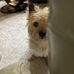 Bonnie Stacy - Facebook