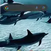 bonniestaley2 - @bonniestaley2 - TikTok