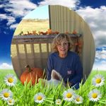 Bonnie Abernathy Stanford (Bonnie Abernathy Stanford) - @bonnie_abernathystanford - Instagram