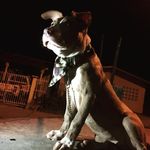 Bonnie - @bonnie06stanford - Instagram
