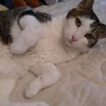 Bonnie Stanton Urbia - @bonnieurbia - Instagram