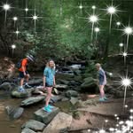 Bonnie stapp - @bonstapp - Instagram