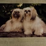 Bonnie Ray Starling - @starling.bonnie - Instagram