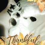 Bonnie Starr - @bonnie.starr.71 - Instagram
