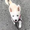 bonniestarr68 - @bonniestarr68 - TikTok