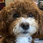 Bonnie Steadman - @bonnie_steadman - Instagram