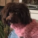 Bonnie Steel - @krazyclaycreations2 - Instagram