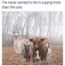 Bonnie Steele - Facebook