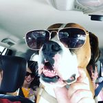Conor McHugh - @bonniesteelermchugh - Instagram