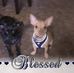 Bonnie Steele - Facebook