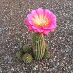 Bonnie Stein - @bonniestein01 - Instagram