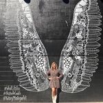 Bonnie Stein Willgoos - @bwillgoos - Instagram