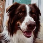 Bonnie Steinert - @gma68006161 - Instagram