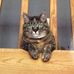 Bonnie Steinke - Facebook